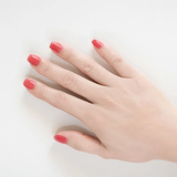 小小PETIT 乾燥玫瑰 Dried Rose 0210