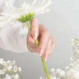 小小PETIT 輕灑夕陽 Sunset Dust 1211