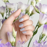 小小PETIT 鳶尾花海 Iris Garden 0321