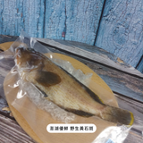 康寶｜美國本土限定郵寄（含運費）