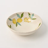 日本波佐見燒檸檬蓋飯碗