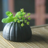 日本益子燒若間陶單支花瓶 白/黑 共五款