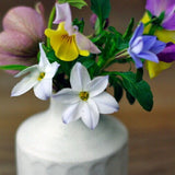 日本益子燒若間陶單支花瓶 白/黑 共五款