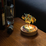 包套水晶樹｜5款全包