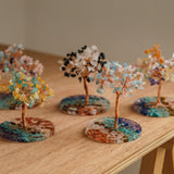 包套水晶樹｜5款全包