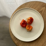 畠山雄介 貝紋圓盤