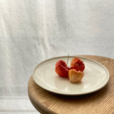 畠山雄介 貝紋圓盤