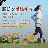 【WABUCIDIET】日本糖脂燃燒脂肪錠 360粒/盒
