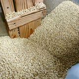 【練馬川原製粉所】日本麥茶超值包  20入 × 2袋（共 40 包）
