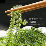 【和春堂】天然海葡萄 2入/組