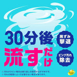 日本EARTH製藥 馬桶抑菌消臭發泡洗淨清潔粉 180g