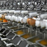 【岐阜米飯研究室】100%日本產雞蛋海苔拌飯香鬆