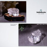 雕件（白水晶龍龜）