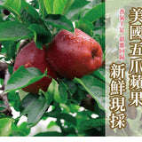 【多利多】水果脆脆系列