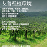 【多利多】無糖鮮果乾系列