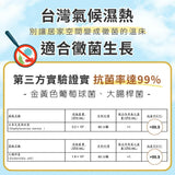 清檜｜抗菌除黴凝膠