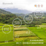Blueseeds【暢銷明星】每日舒活滾珠按摩精油 5 支組 (薰衣草/柑橘/茶樹/迷迭香/檸檬）