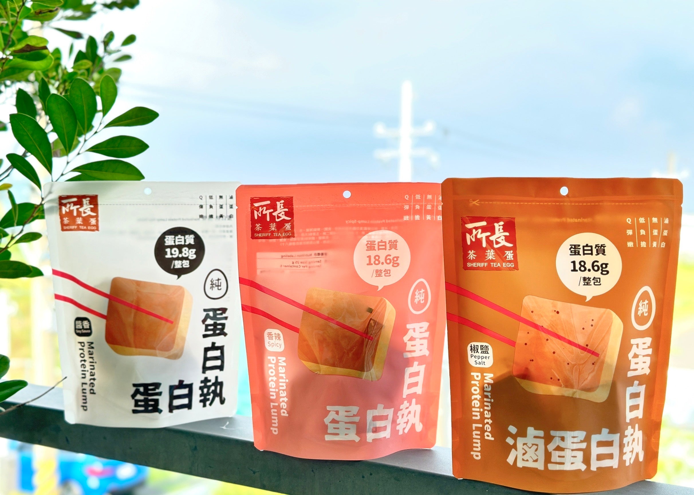 【所長】蛋白執(滷蛋白磚)