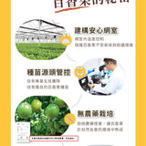 【桑妮果園】百香優果凍