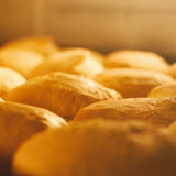 【嘉味軒】鮮奶太陽餅 10入