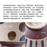 日本美濃燒南國風情圓盤 (S-L) 共五款