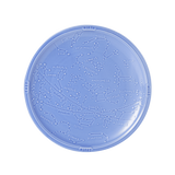 Studio M' star map 圓盤 共二色