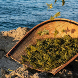 【一芳海苔醬】惦佃．台灣青海苔佃煮