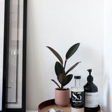 四腳托盤 (圓型/長方形) 共四色