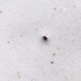 日本益子燒吉澤窯灰白色北極熊小盤右向