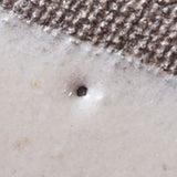 日本益子燒吉澤窯灰白色北極熊小盤右向