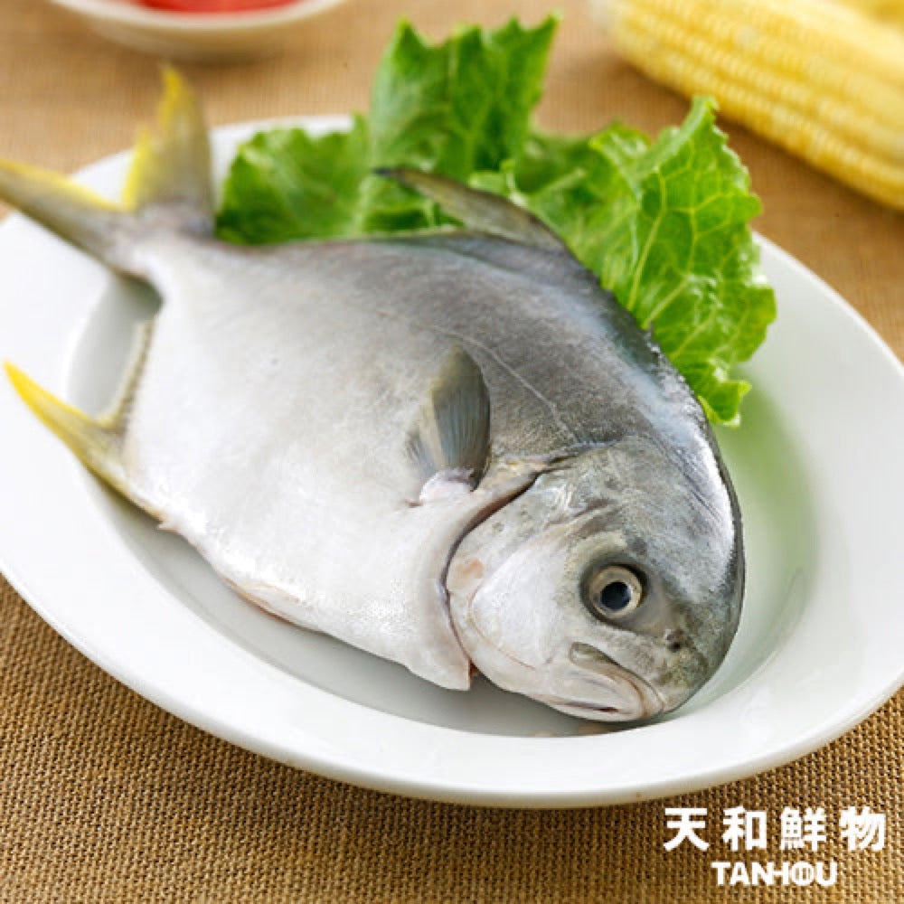 康寶 商品照片 2